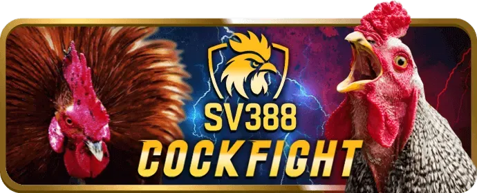 Máy đánh bạc và nổ hũ sf88